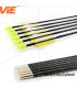 ViE 31 inch Spine 700 Fiberglass Shaft Arrows With 3 inches Plastic Material Vane Plus Target Point -12 pack
