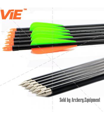 ViE 30 inch Spine 500 Fiberglass Shaft Arrows with 3 inches Plastic Material Vane Plus Target Point -12 pack