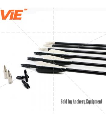 ViE 31 inch Spine 500 Fiberglass Shaft Arrows with 3 inches Plastic Material Vane -12 pack