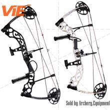 Qinhuang Compound Bow Qinhuang Compound Bow